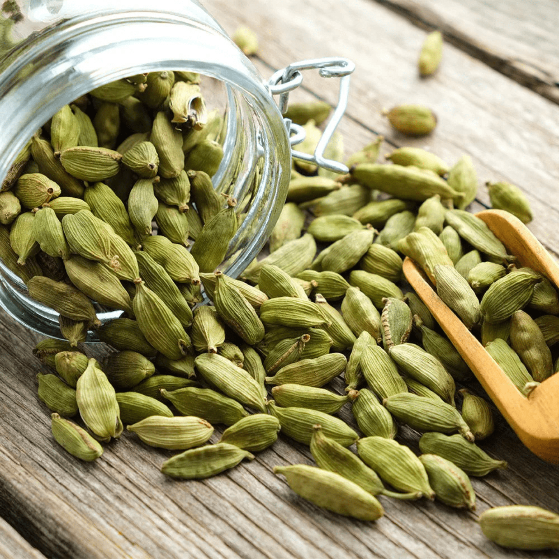 CARDAMOM _ ELAICHI-min