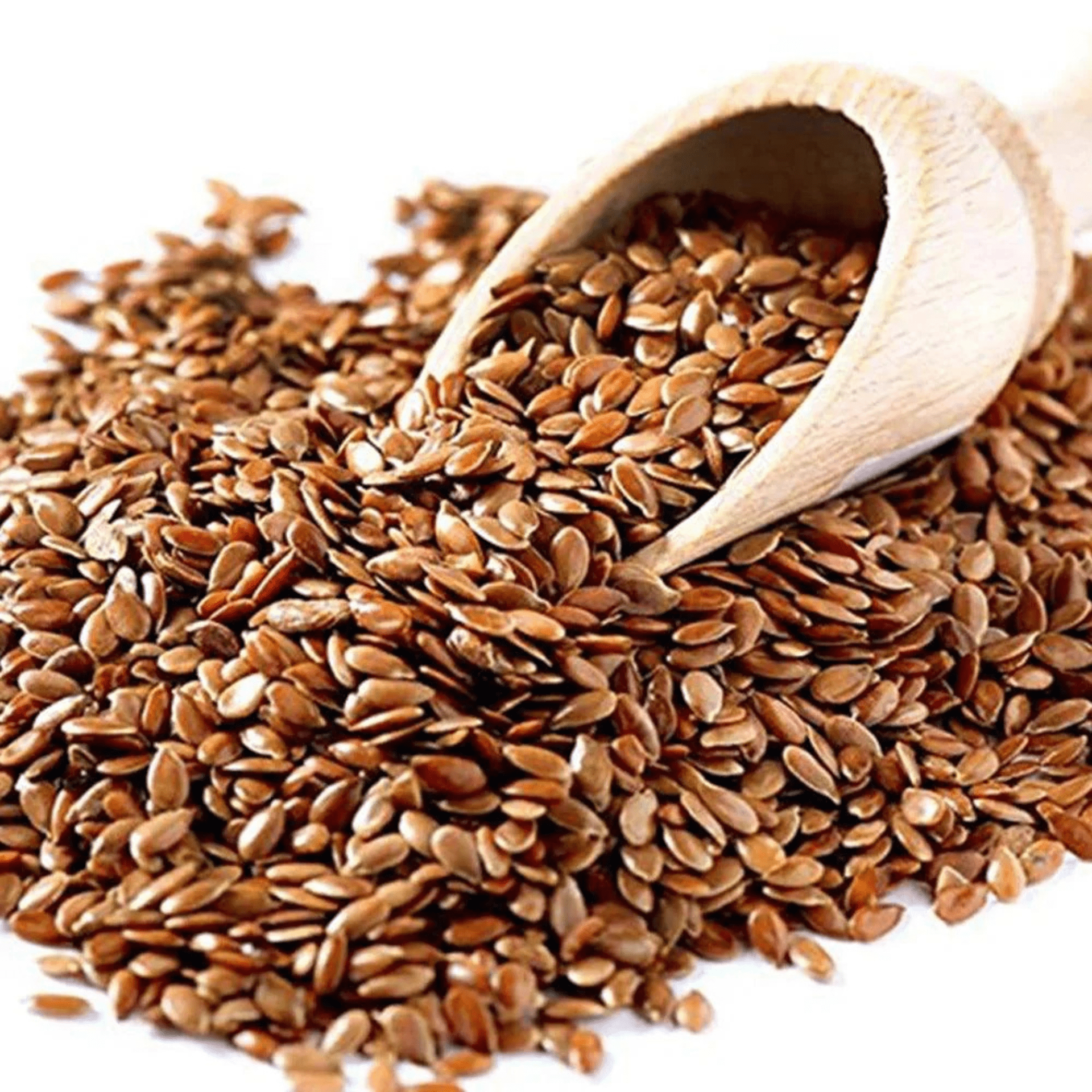FLAX SEEDS _ ALSI SEEDS-min