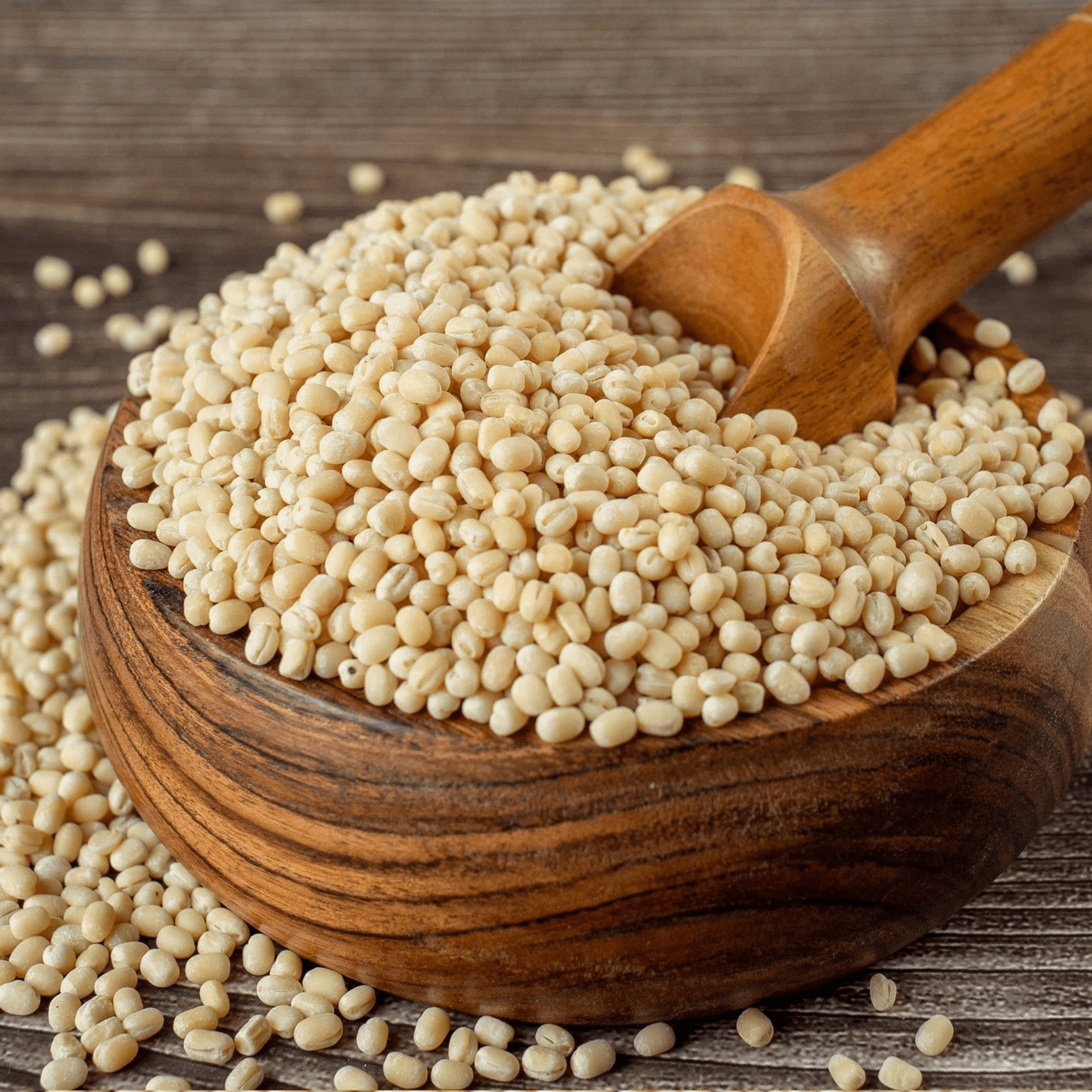 MATPE BEANS _ URAD GOTA-min