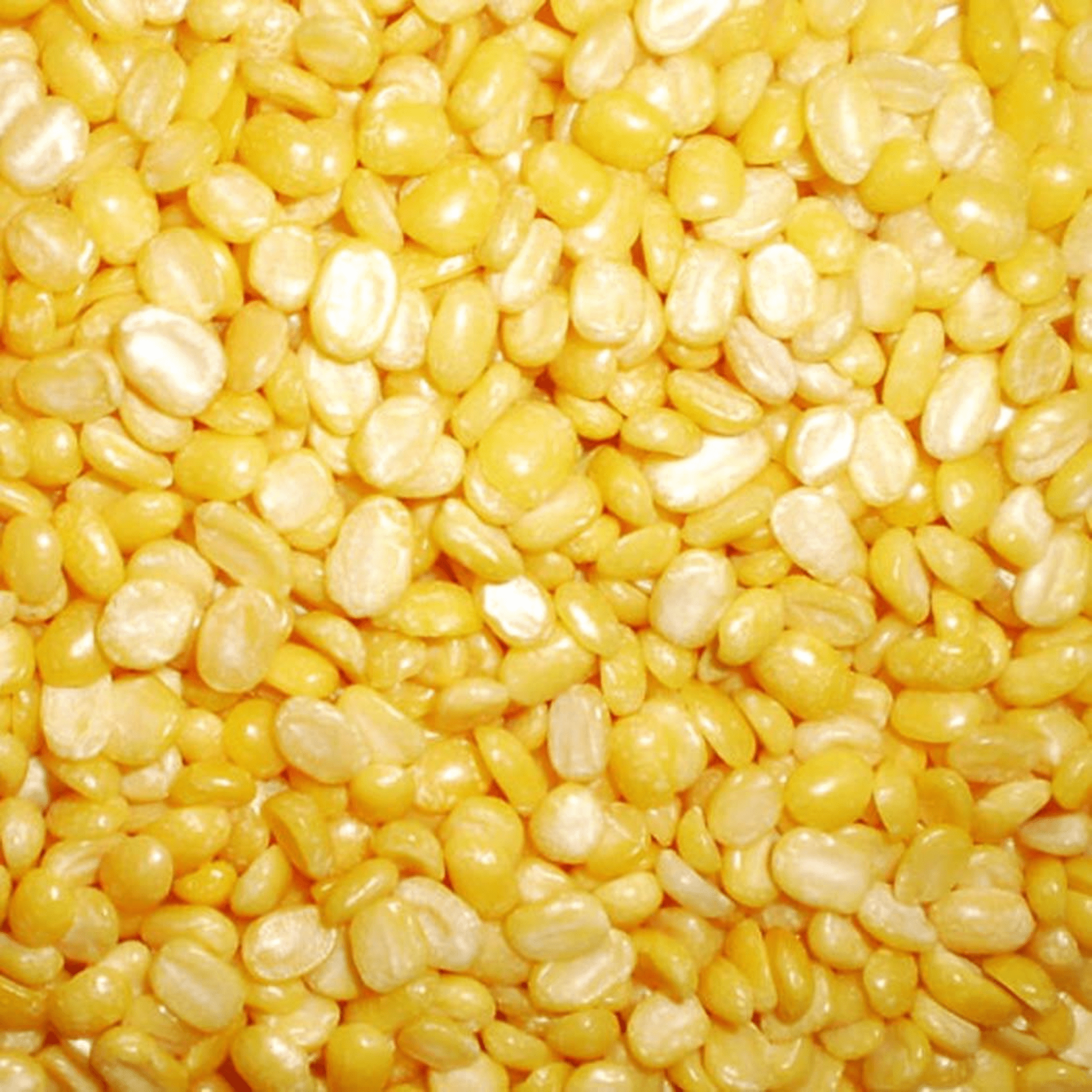 MOGAR DAL-min