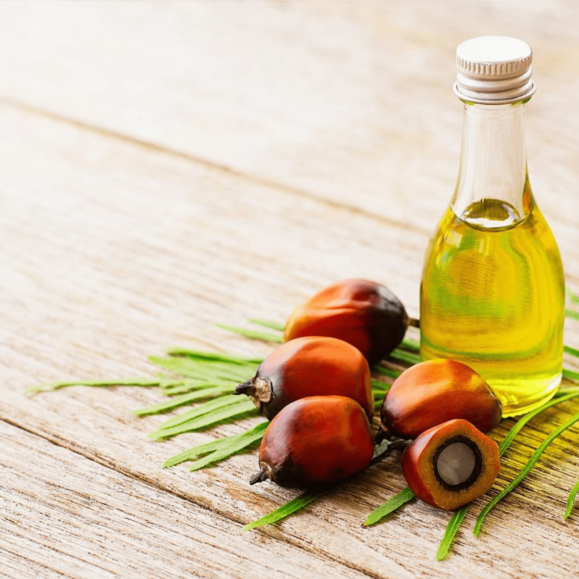PALM OIL-min
