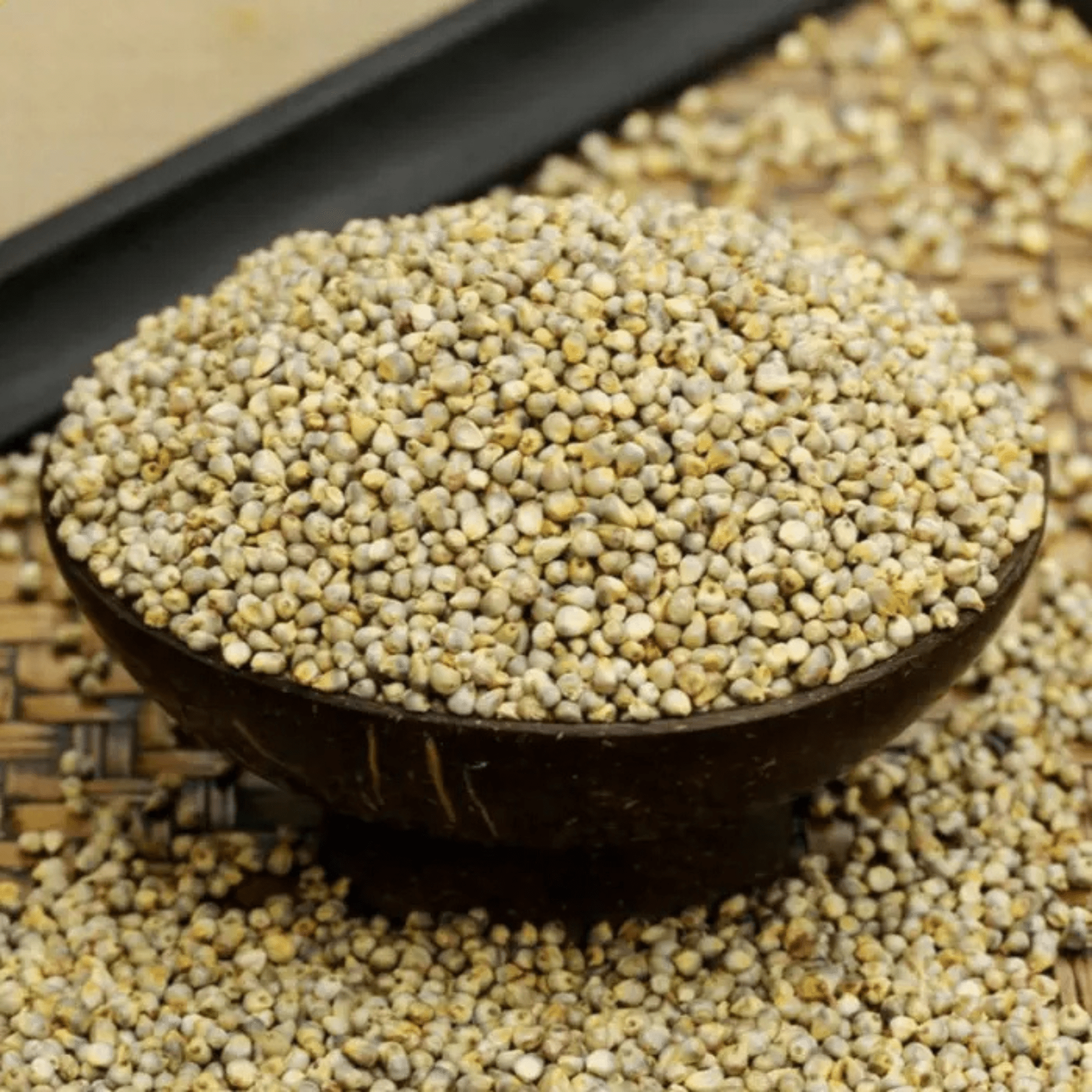 PEARL MILLET _ BAJRA-min