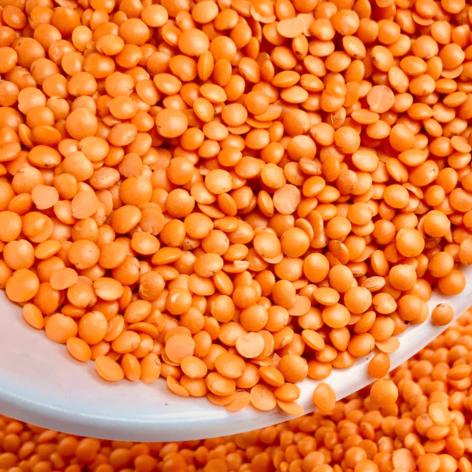 RED LENTIL _ MASOOR DALL-min